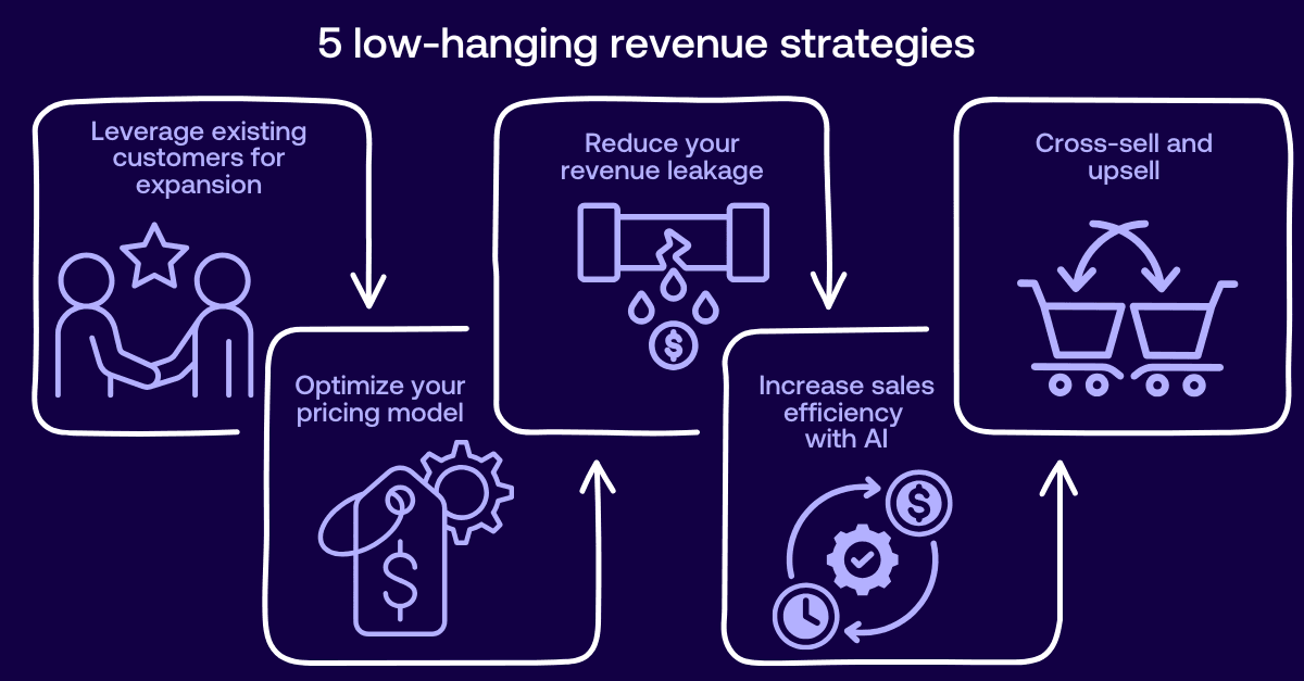 Image graphic of the 5 actionable low-hanging revenue strategies.